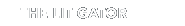 litigator