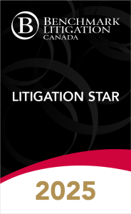 BM - Litigation Star Badge 2025